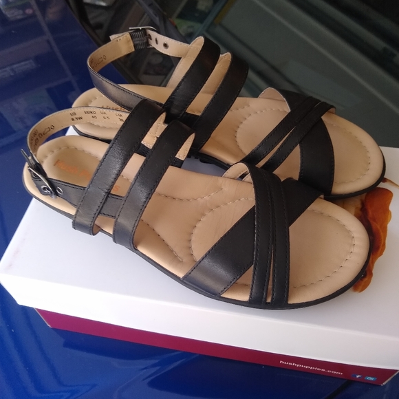 hush puppies dachshund strappy